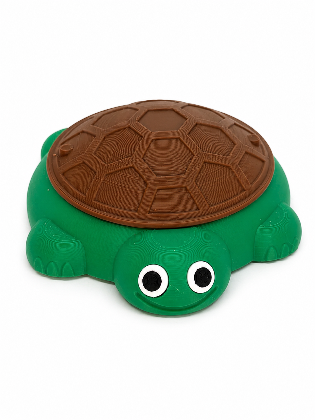 Mini Turtle Sandbox 🐢