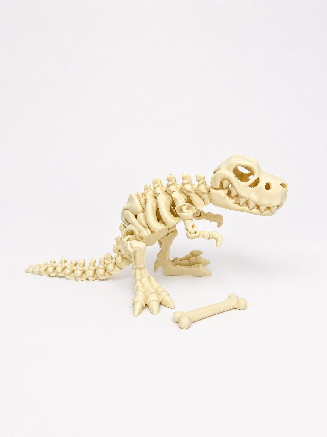 Flexi Skeleton Dino