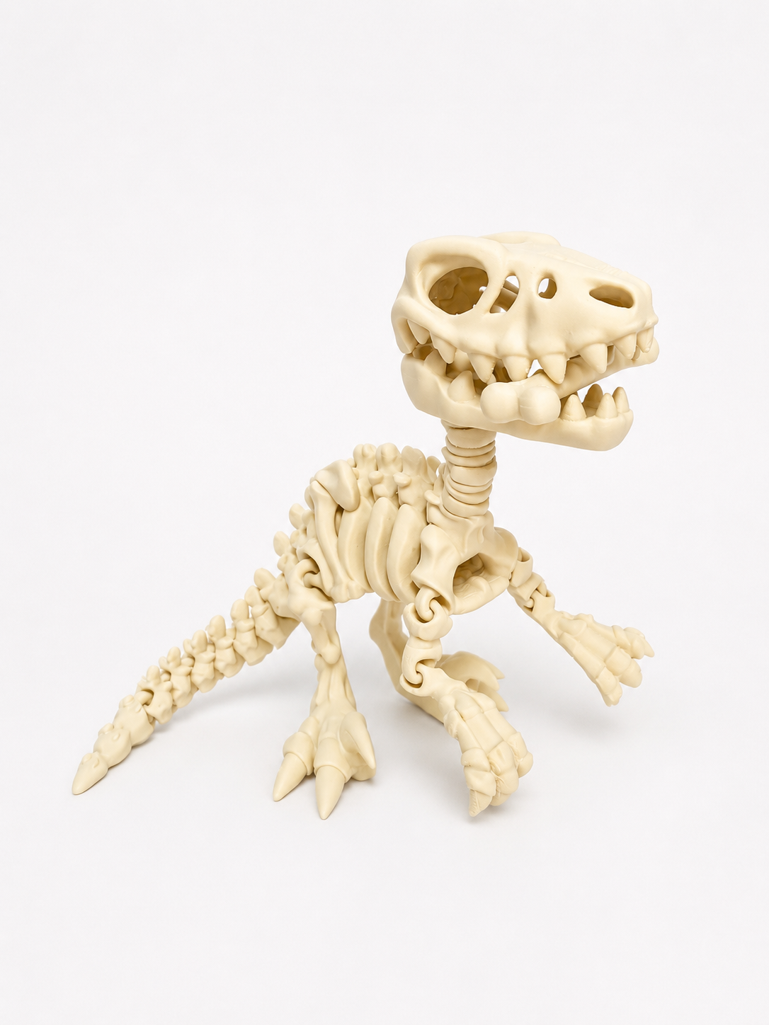 Flexi Skeleton Dino