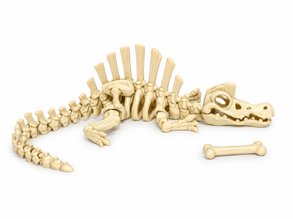 Flexi Skeleton Dino