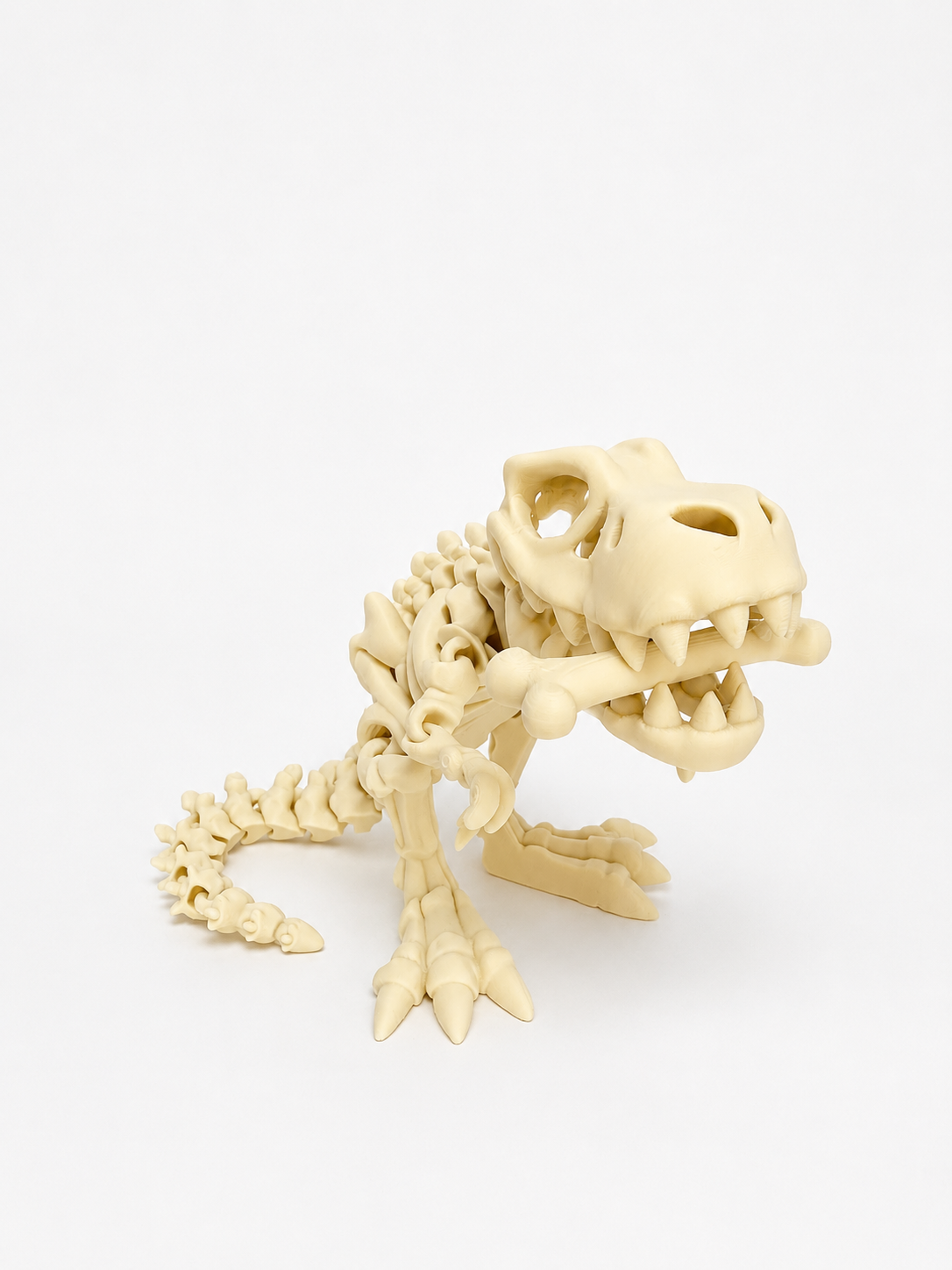 Flexi Skeleton Dino