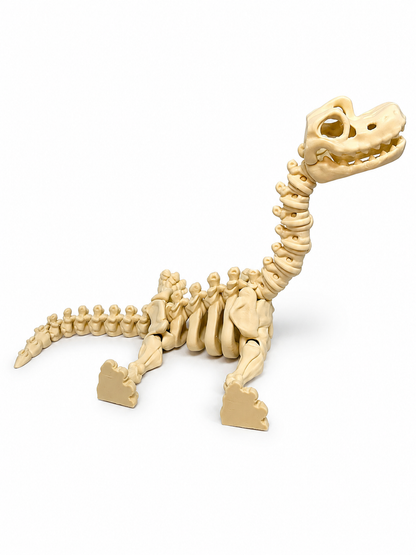 Flexi Skeleton Dino