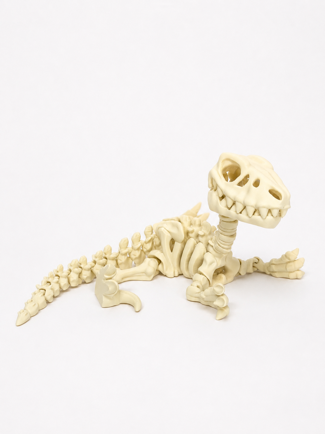 Flexi Skeleton Dino