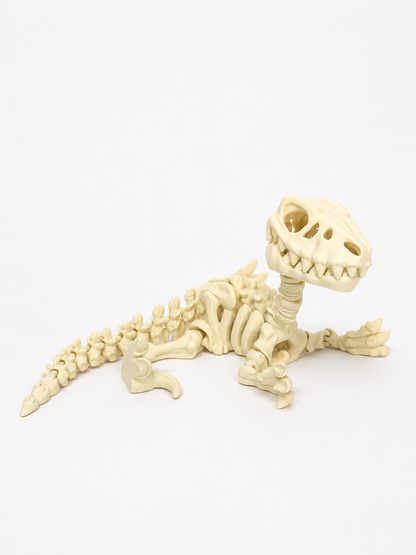 Flexi Skeleton Dino