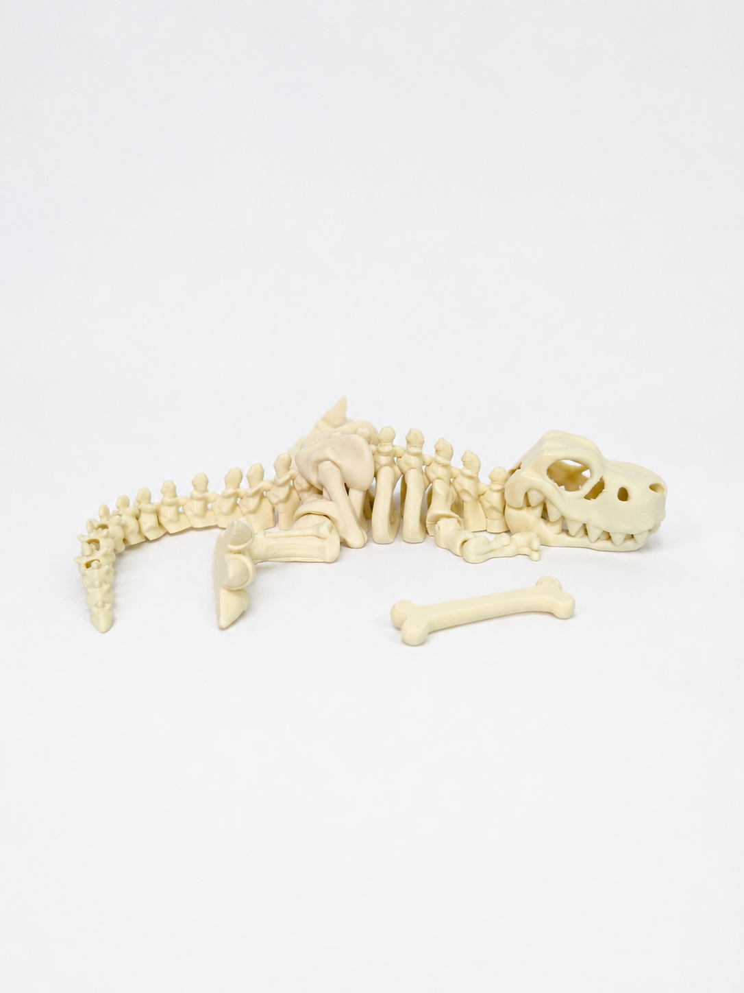 Flexi Skeleton Dino