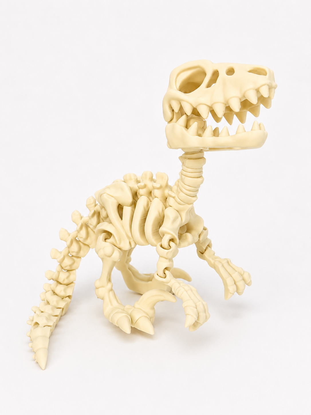 Flexi Skeleton Dino